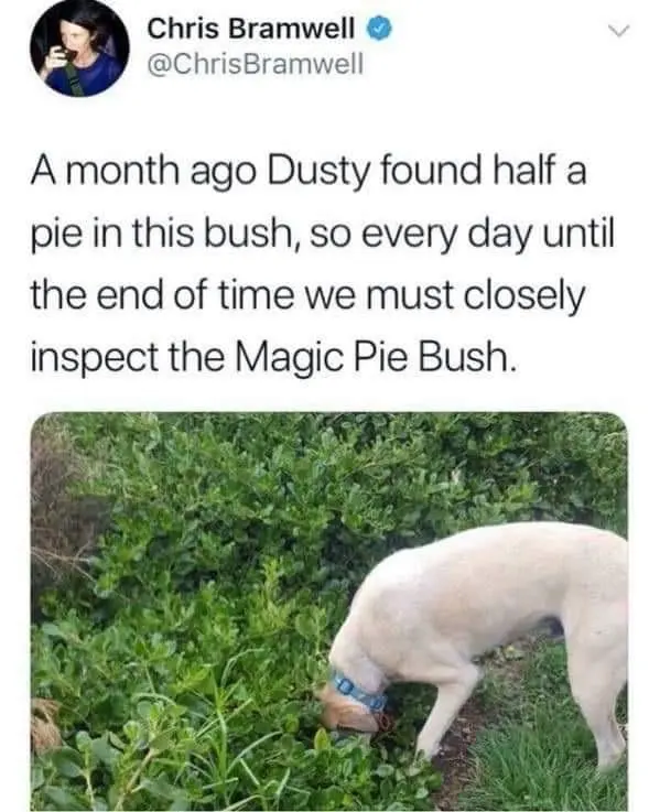 12053