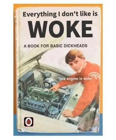 Everything I don't like is Woke