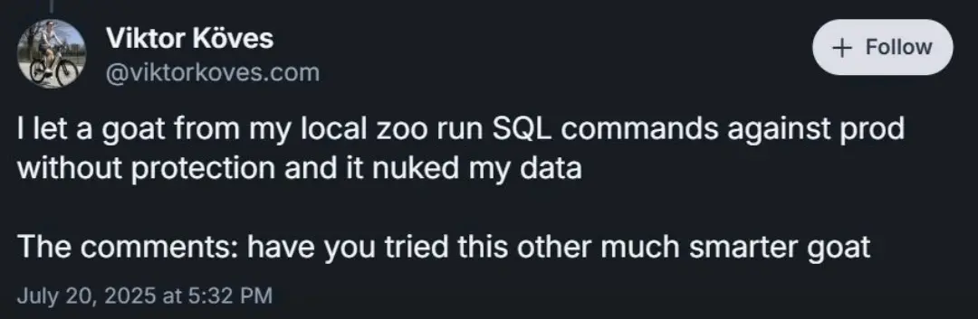 @victorkoves.com

I let a goat from my local zoo run SQL commands against prod without protection and it nuked my data

The comments: have you tried this other much smarter goat