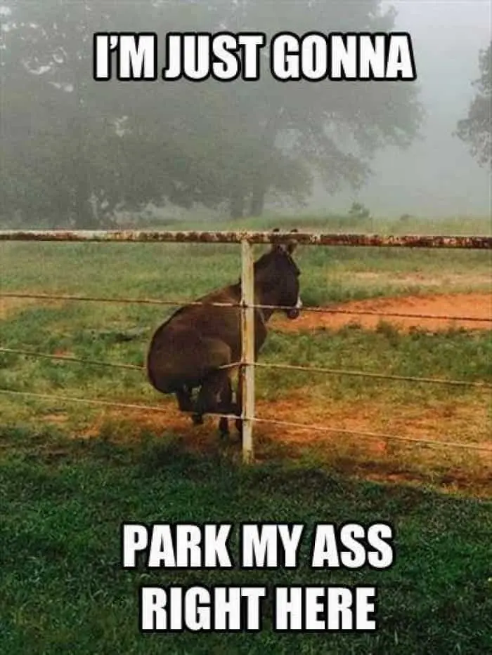 I'm going to park my ass right here.