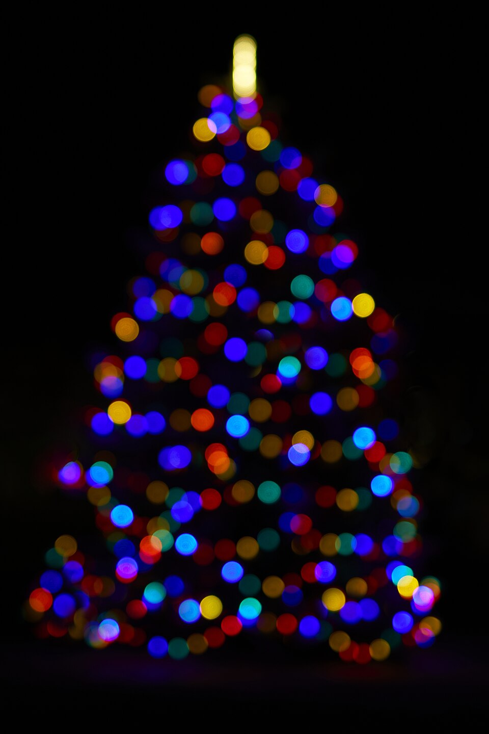 #4: 202312 xmastree 2 PD104410 1.jpg