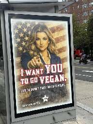 Peta is okay with AI