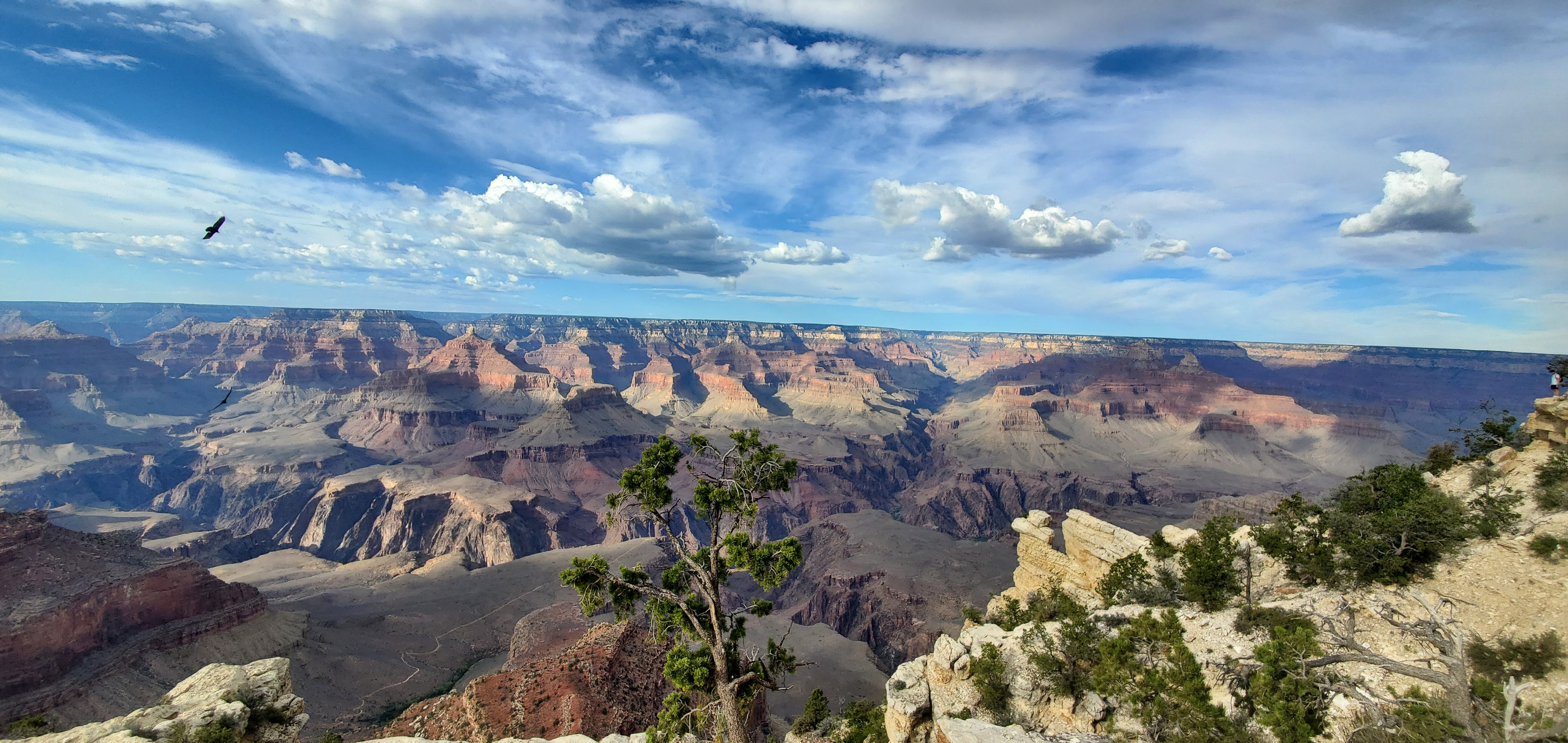 Picture of the Grand Canyon