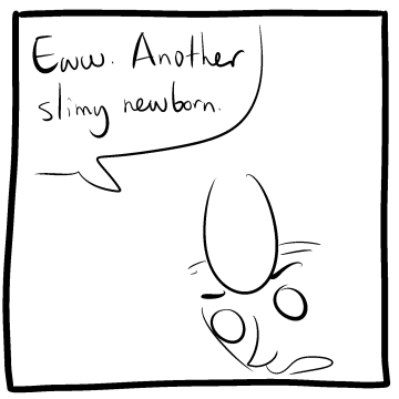 Bonus panel