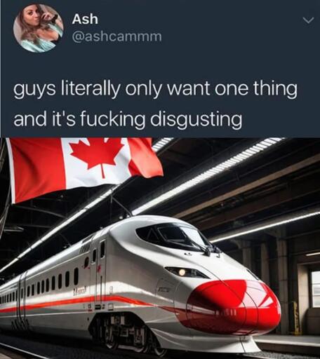 guys only want one thing and it's fucking disgusting meme with a photo of a Canada-themed bullet train