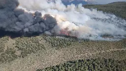 Pizona Fire in Inyo National Forest grows to 540 acres