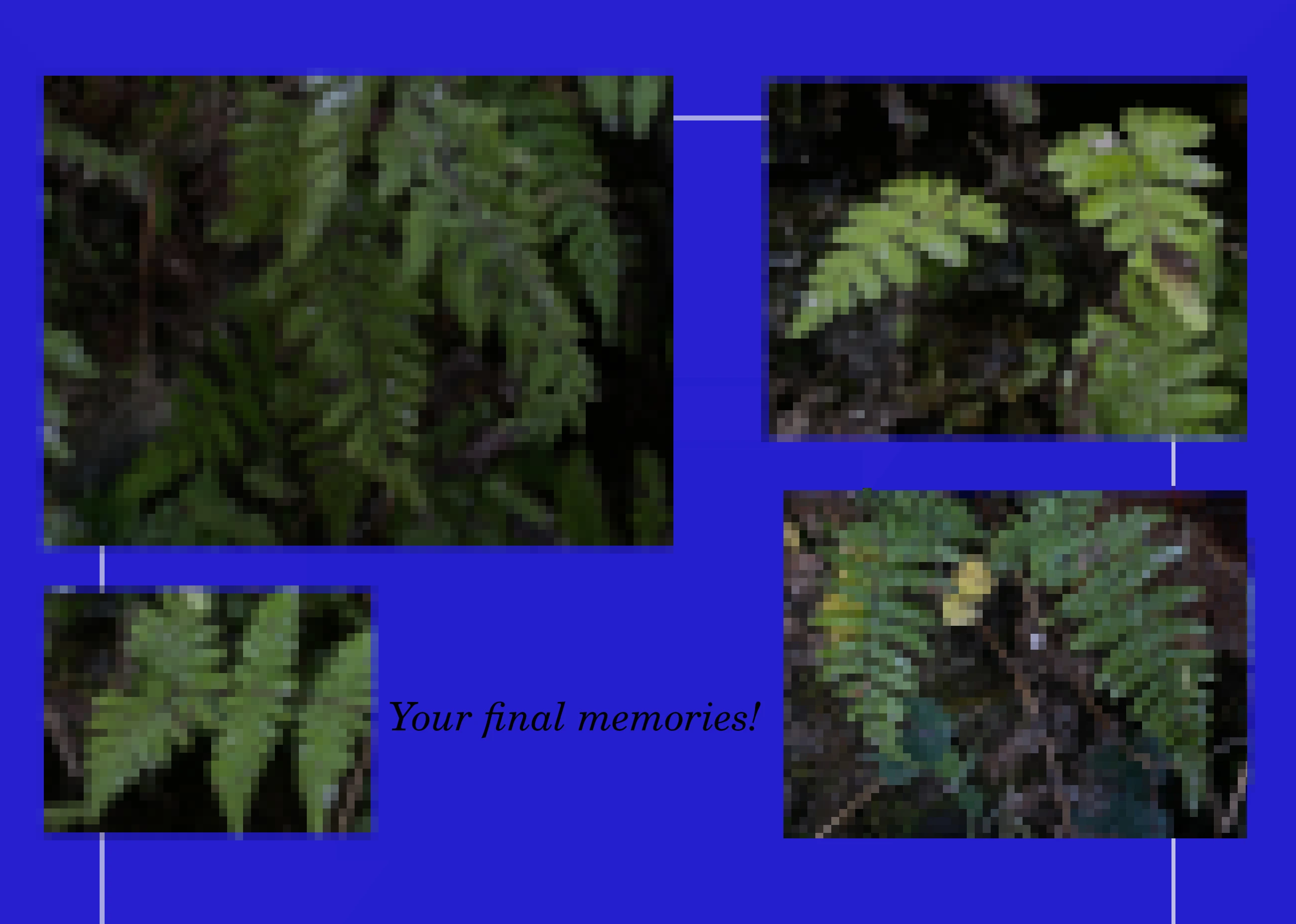 Four pixelised images of ferns in the dark on a blue backround. White lines connect them and trail out of view. Italic words read "Your final memories!"