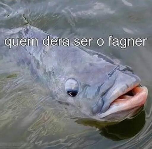 Um peixe pensando como seria bom ser o cantor Fagner