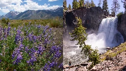 Wildflower and waterfall season in full swing at Mammoth Lakes