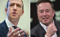Who Would Win in a Musk Vs. Zuckerberg Cage Fight?